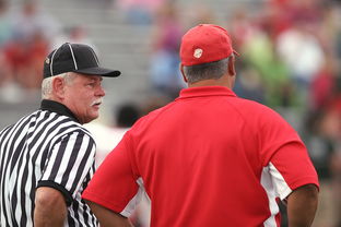 开云体育官网app-男子800自美队表现中规中矩，男子800米自由泳决赛直播